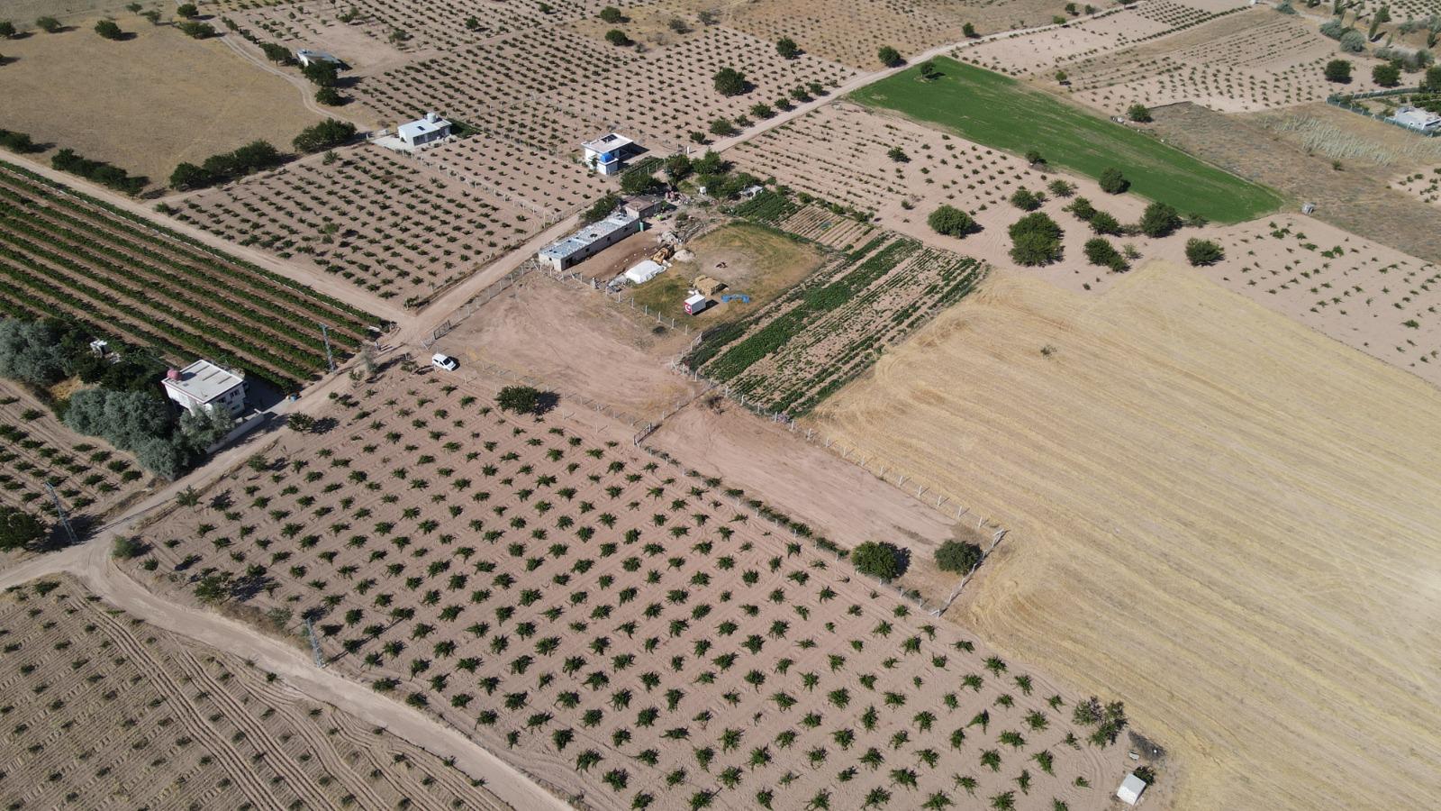 ÇAT İSTİKLALDE ASFALT ANAYOLA 500M UZAKLIKTA SATILIK BAĞ