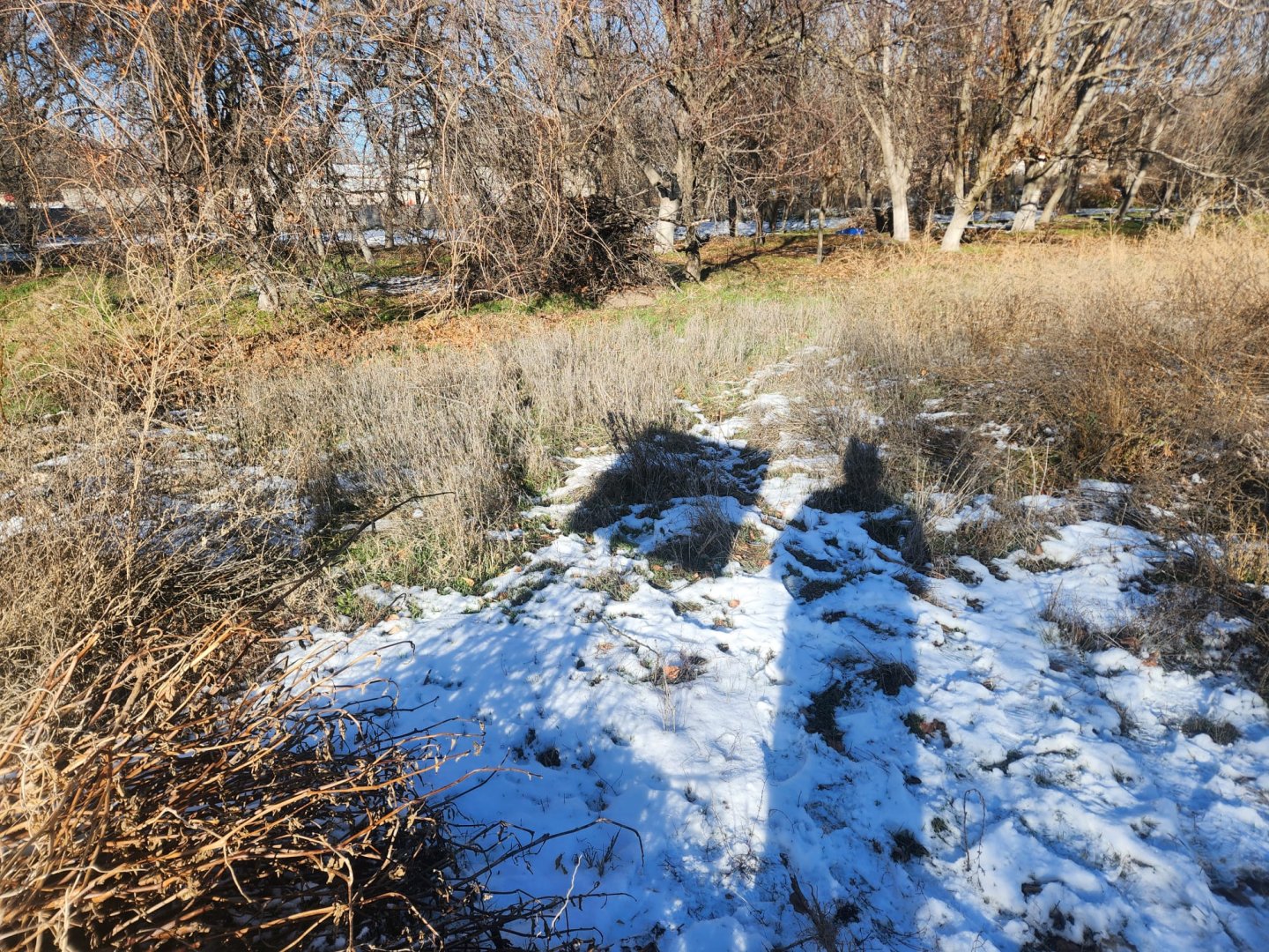 NAR DA SATILIK BAHÇE.