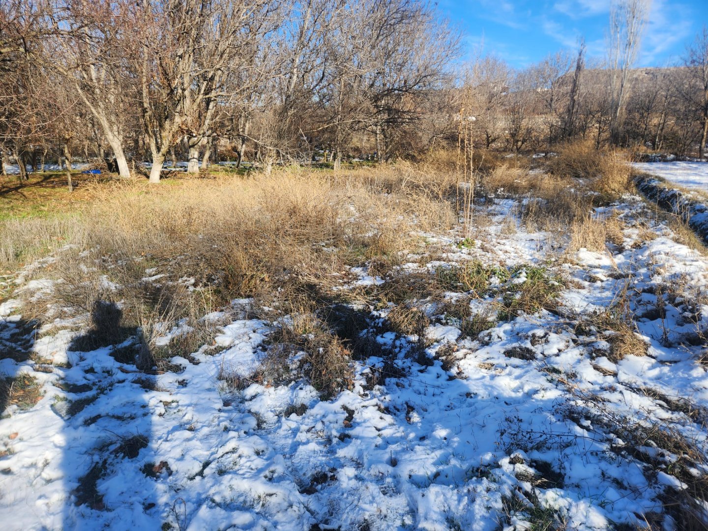 NAR DA SATILIK BAHÇE.