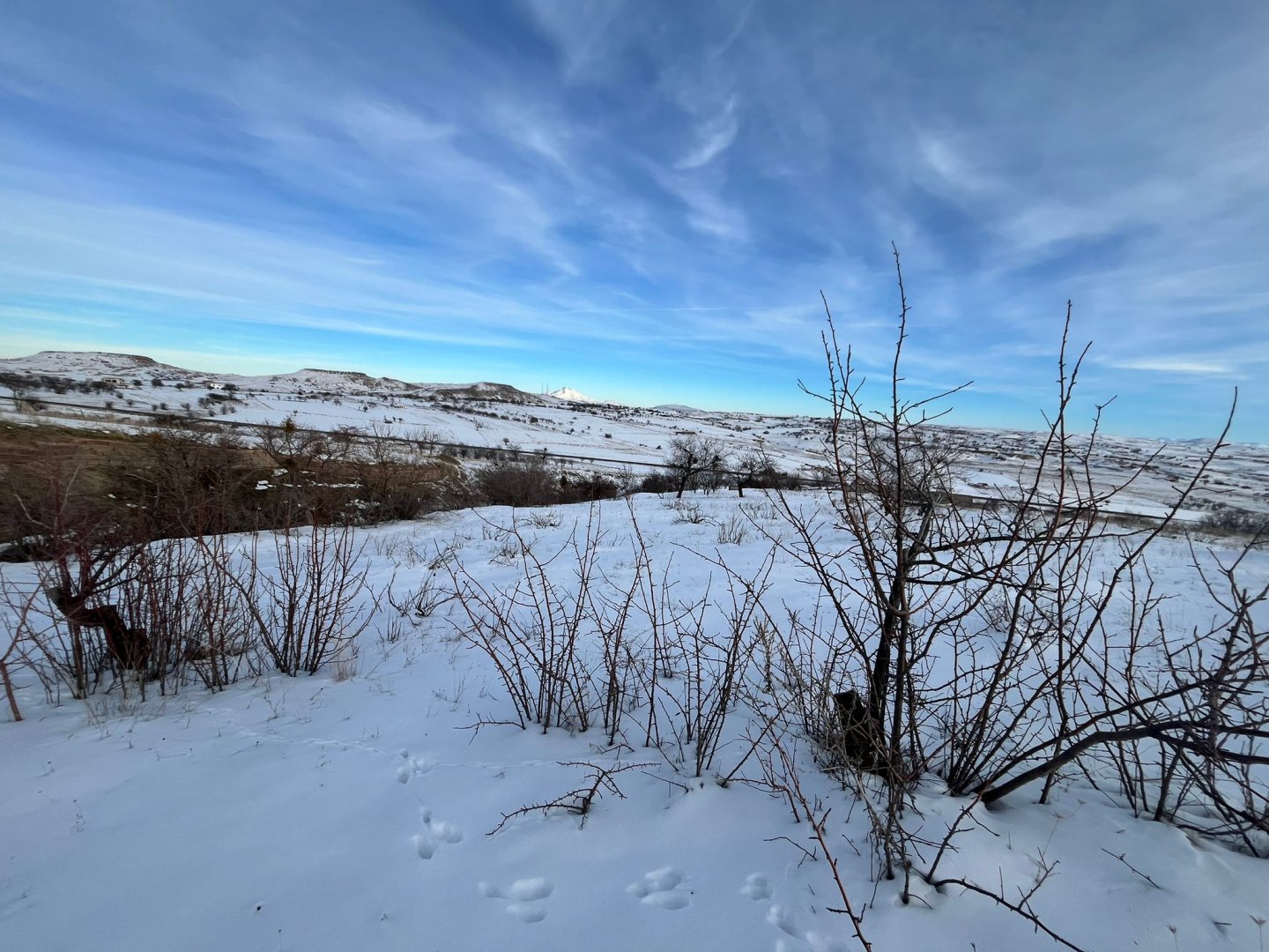 GÜVERCİNLİKTE SATILIK BAĞ
