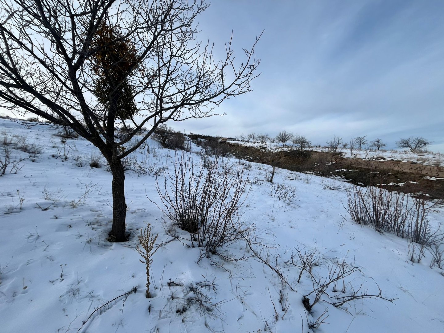 GÜVERCİNLİKTE SATILIK BAĞ