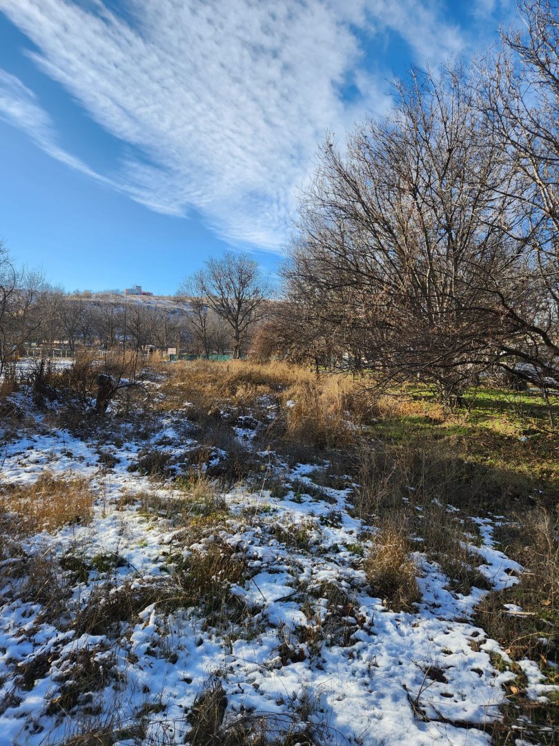 NARDA SATILIK BAHÇE.