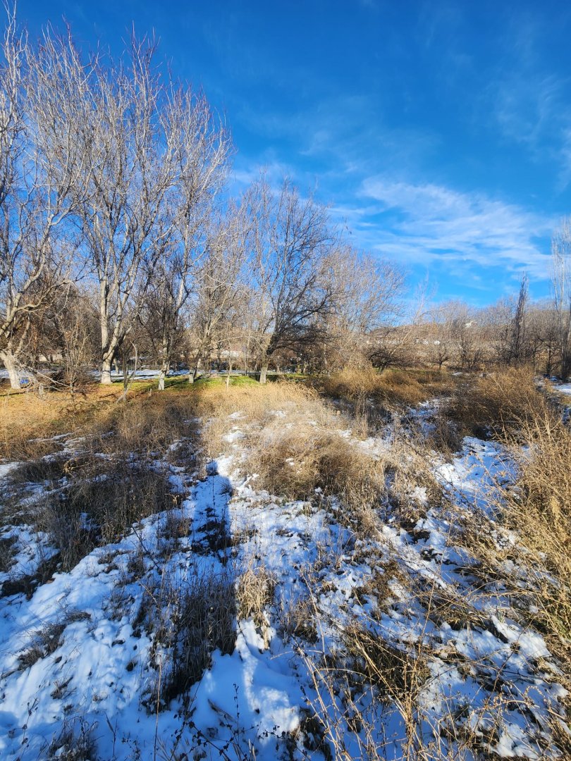 NARDA SATILIK BAHÇE.