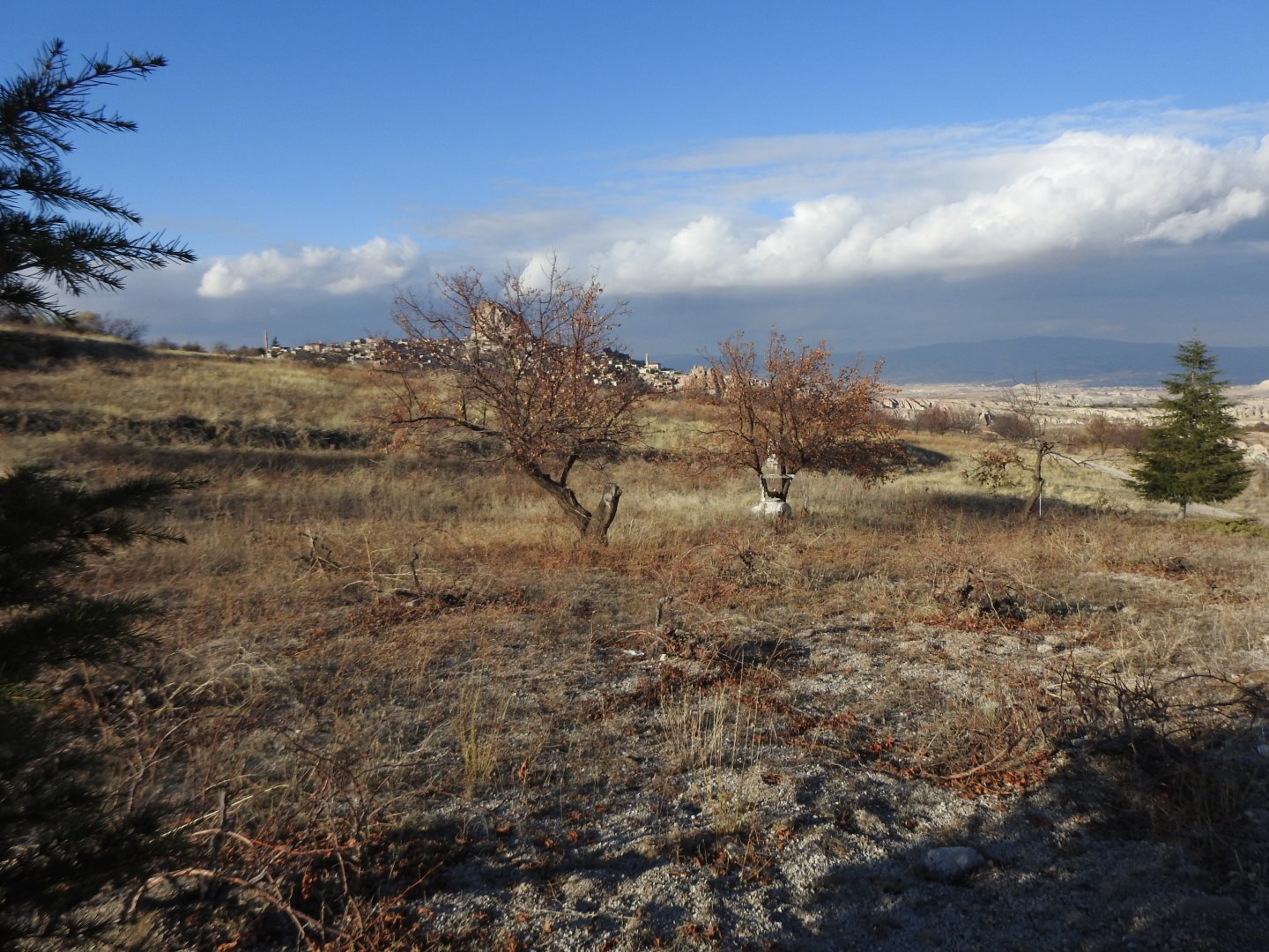 ASFALT ANA YOLA 400M UZAKLIKTA 1640M2 SATILIK BAĞ