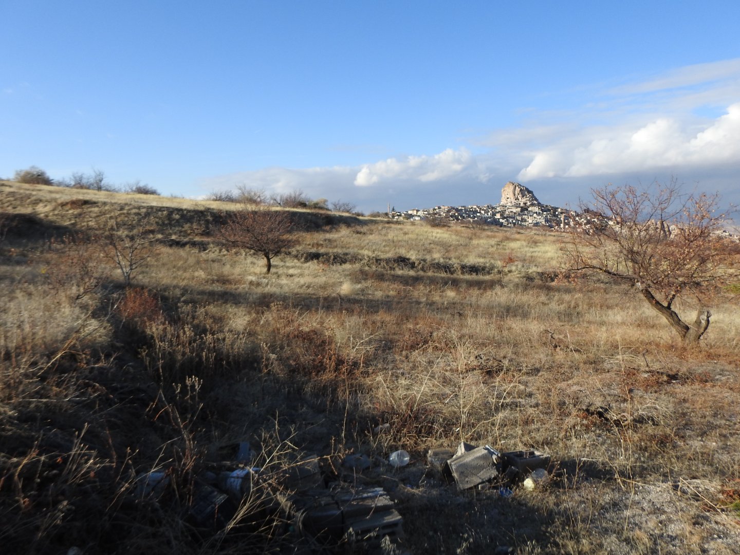 ASFALT ANA YOLA 400M UZAKLIKTA 1640M2 SATILIK BAĞ