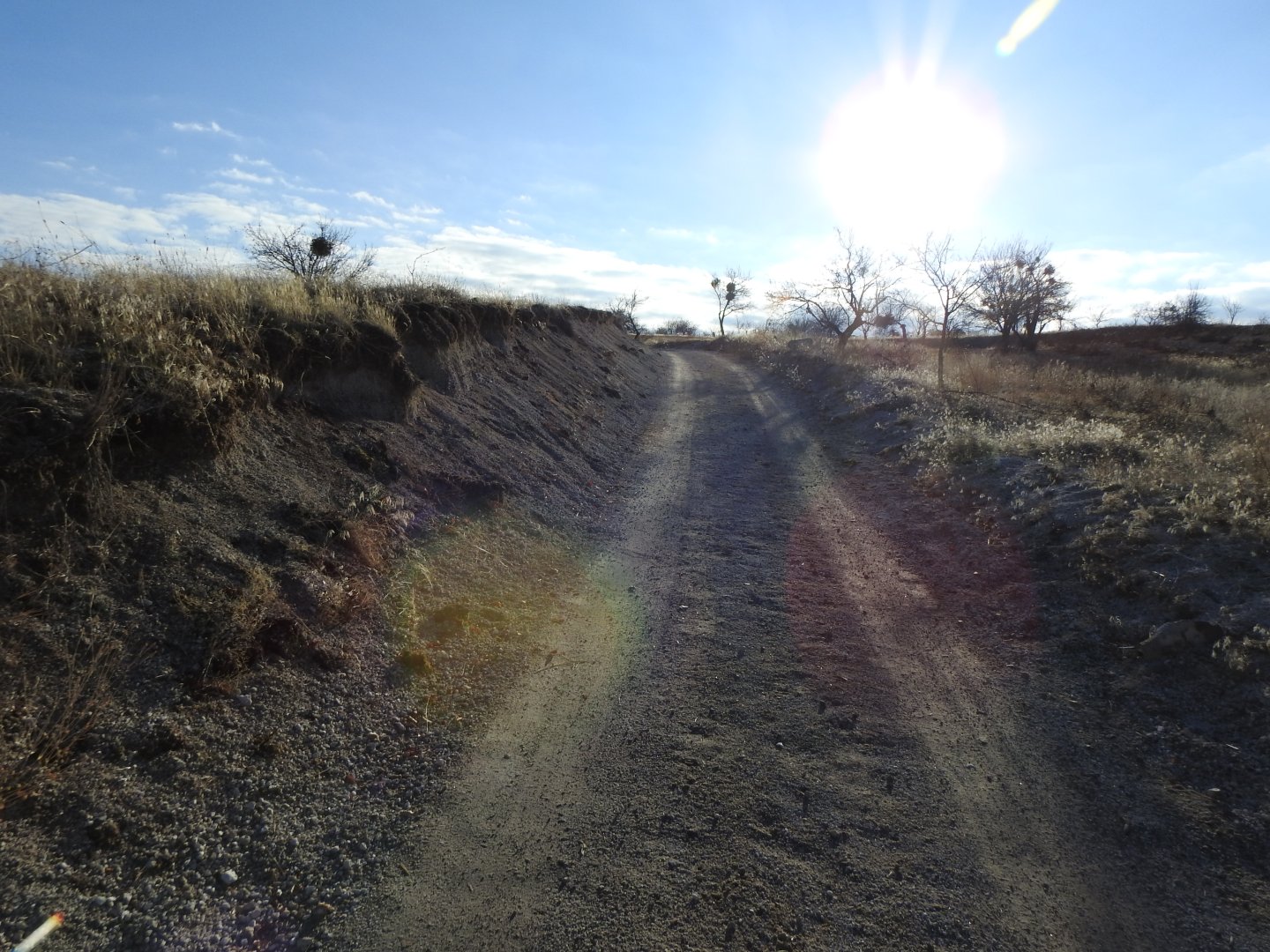 ASFALT ANA YOLA 400M UZAKLIKTA 1640M2 SATILIK BAĞ