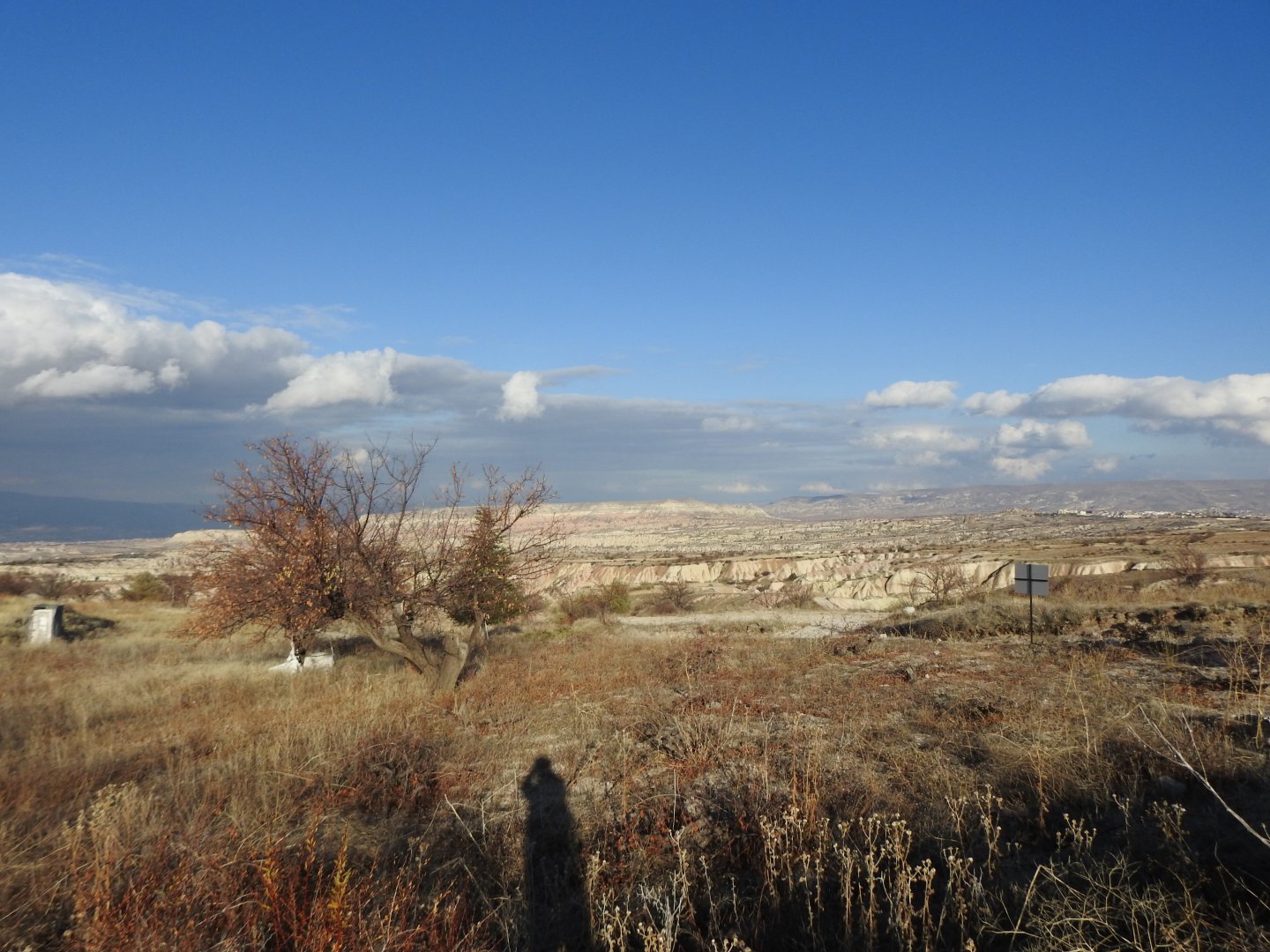 ASFALT ANA YOLA 400M UZAKLIKTA 1640M2 SATILIK BAĞ