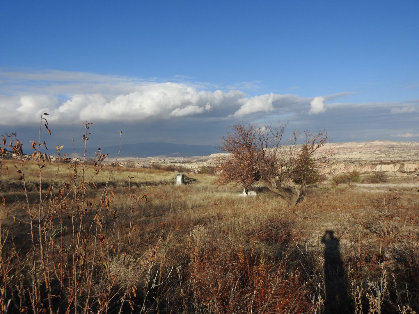ASFALT ANA YOLA 400M UZAKLIKTA 1640M2 SATILIK BAĞ