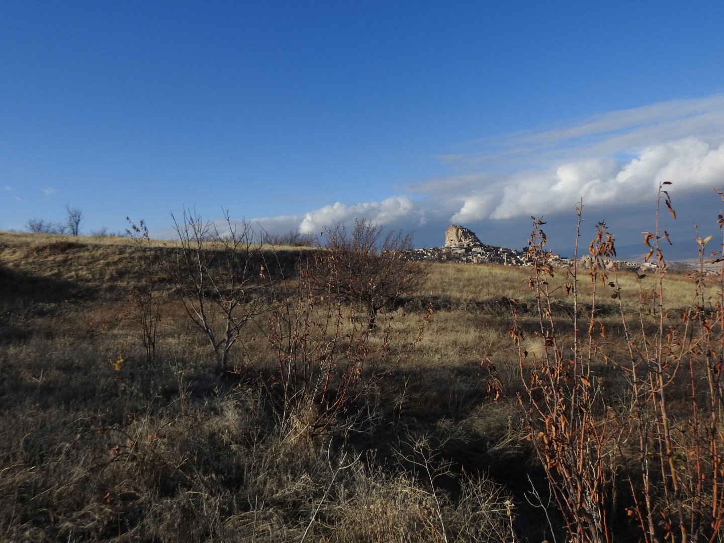 ASFALT ANA YOLA 400M UZAKLIKTA 1640M2 SATILIK BAĞ