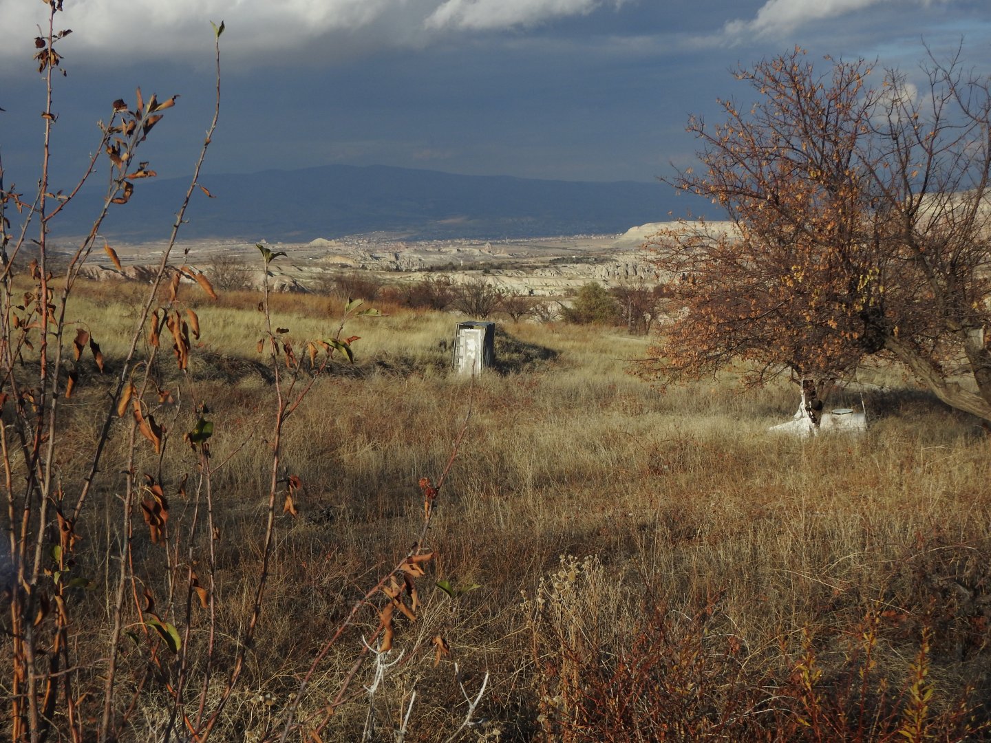 ASFALT ANA YOLA 400M UZAKLIKTA 1640M2 SATILIK BAĞ