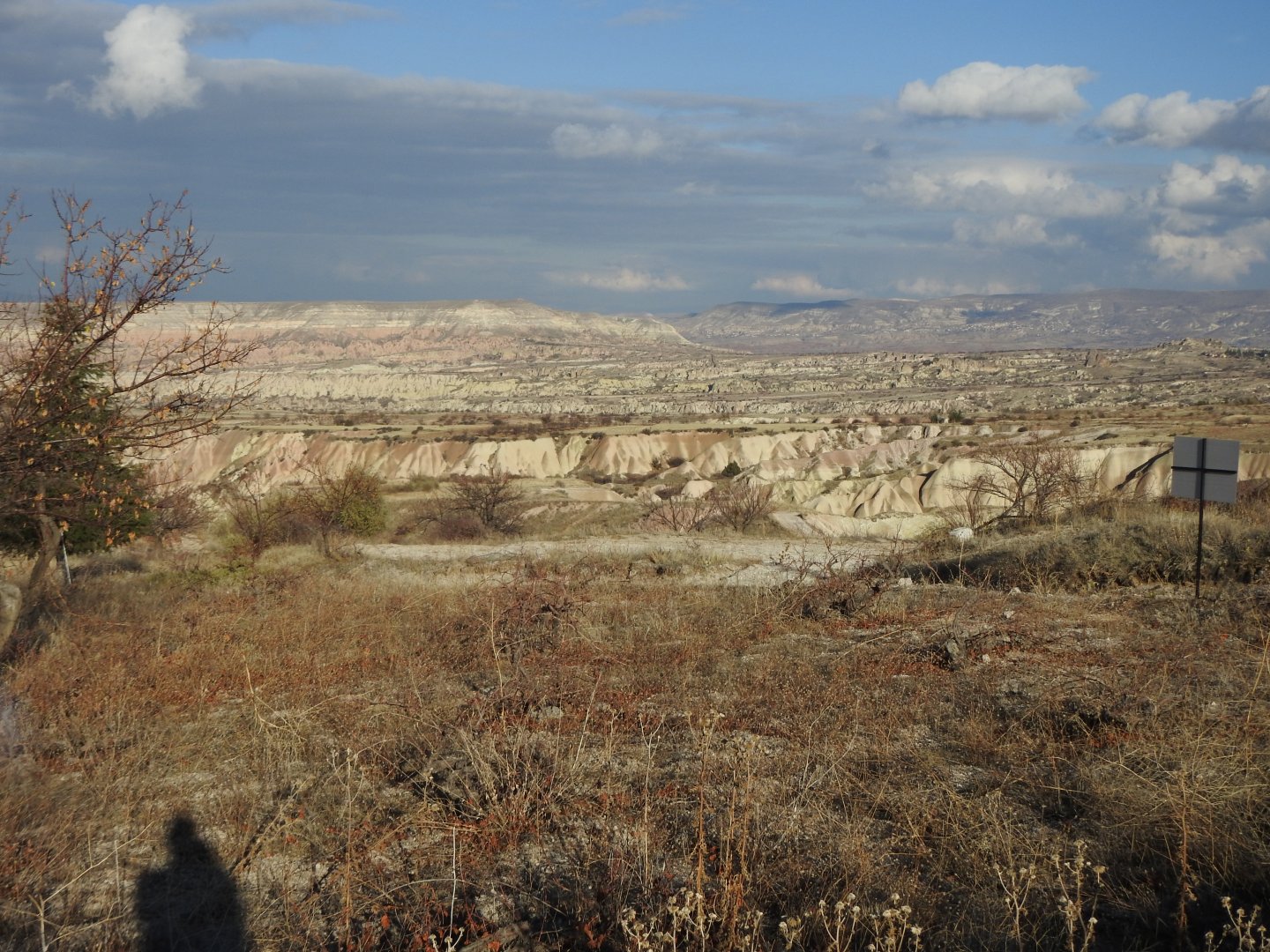 ASFALT ANA YOLA 400M UZAKLIKTA 1640M2 SATILIK BAĞ