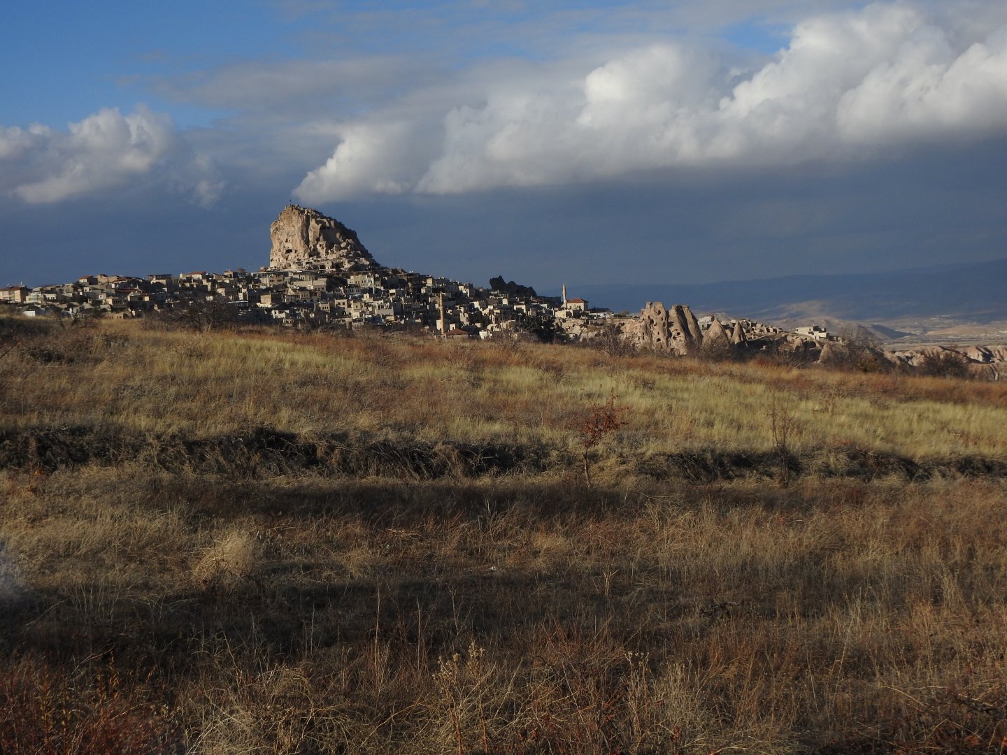 ASFALT ANA YOLA 400M UZAKLIKTA 1640M2 SATILIK BAĞ