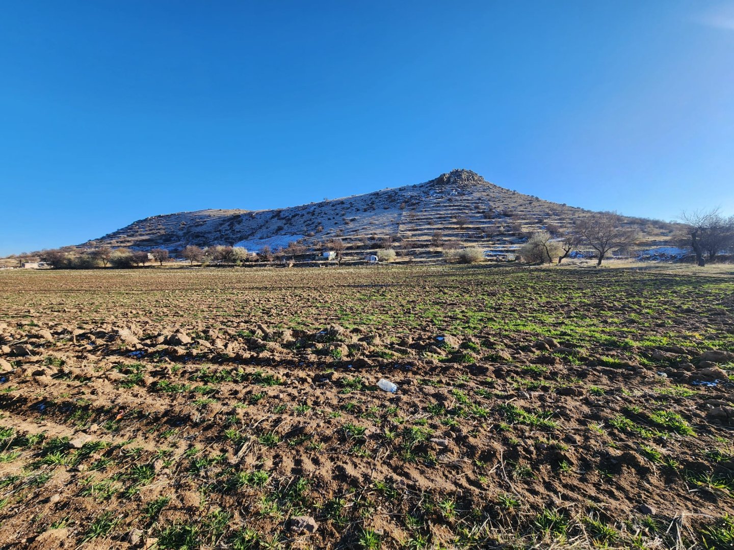 ANAYOLDA SATILIK TARLA.