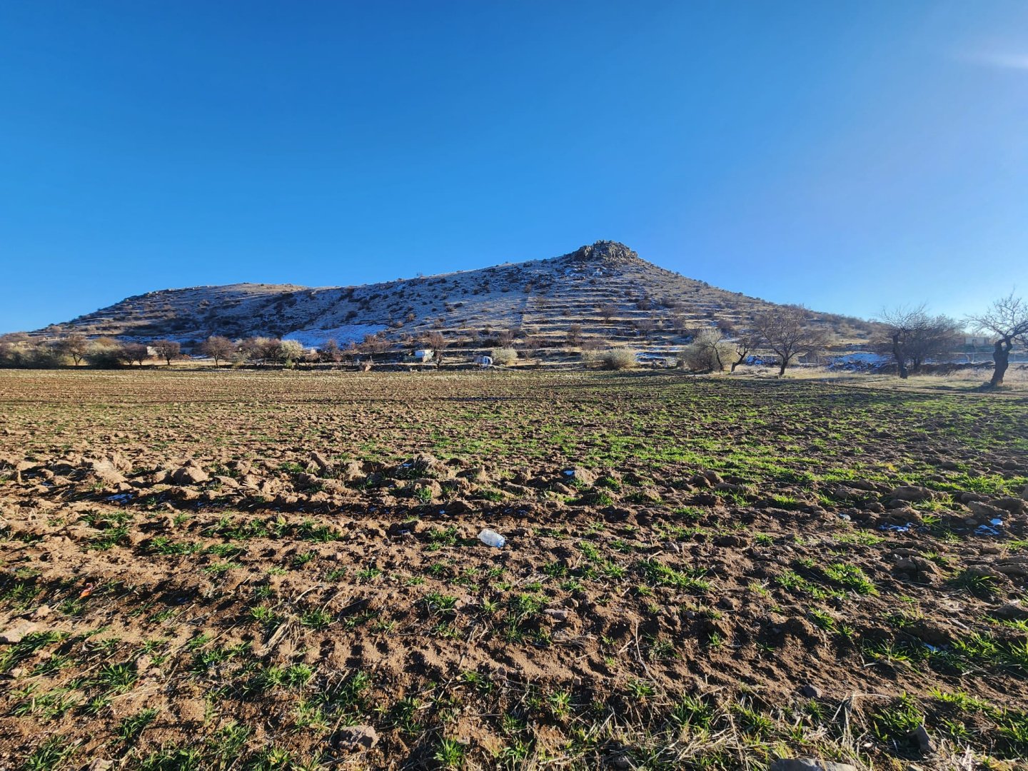 ANAYOLDA SATILIK TARLA.