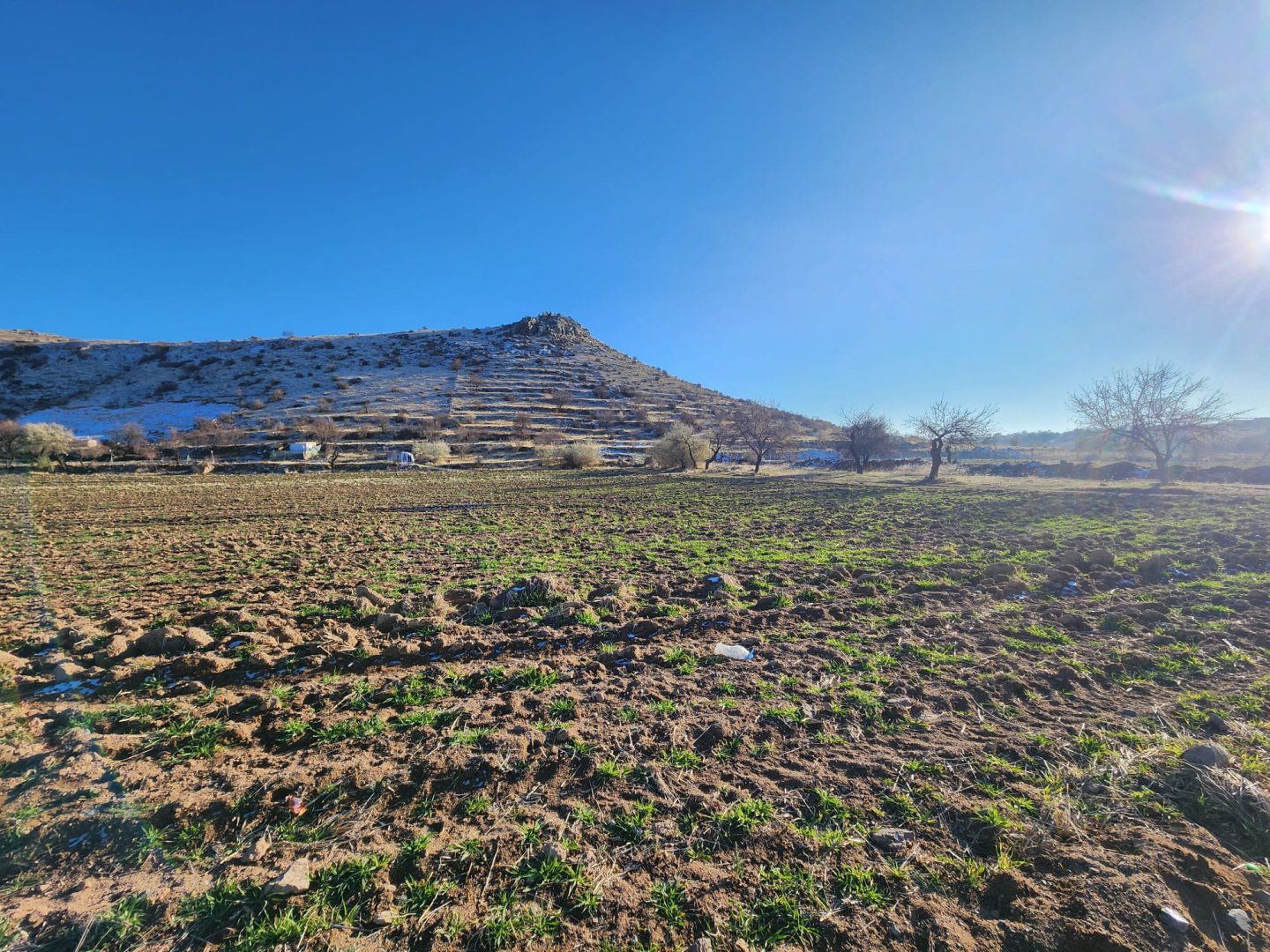 ANAYOLDA SATILIK TARLA.