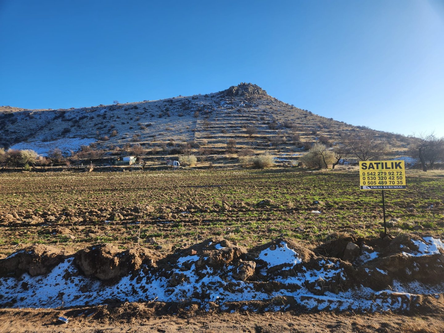 ANAYOLDA SATILIK TARLA.