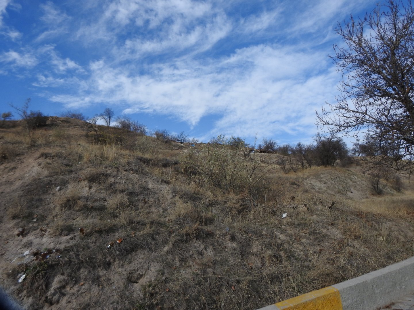 NAR AŞAĞI MAHALLEDE YOL KENARI MUHTEŞEM KONUMDA BAĞ