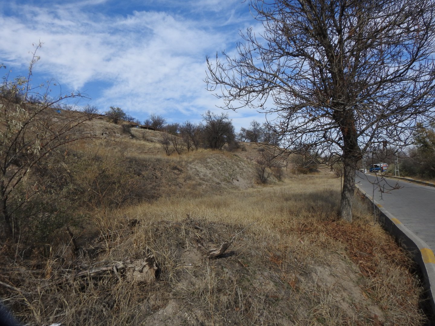 NAR AŞAĞI MAHALLEDE YOL KENARI MUHTEŞEM KONUMDA BAĞ