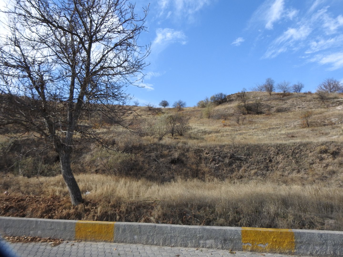 NAR AŞAĞI MAHALLEDE YOL KENARI MUHTEŞEM KONUMDA BAĞ