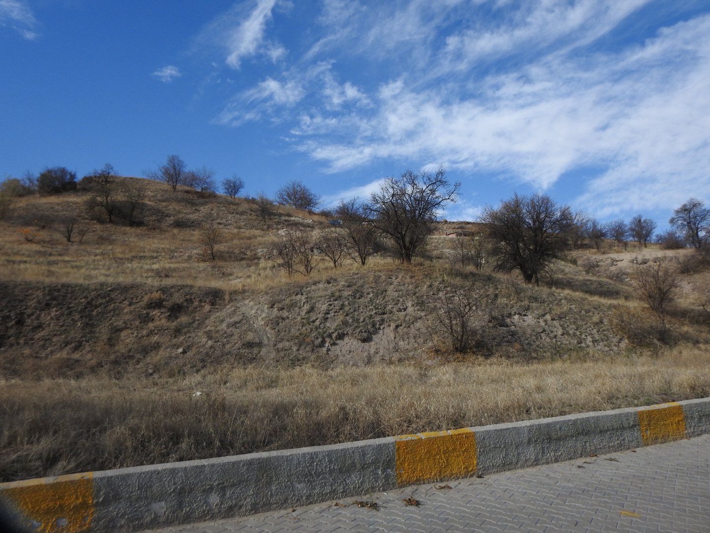 NAR AŞAĞI MAHALLEDE YOL KENARI MUHTEŞEM KONUMDA BAĞ