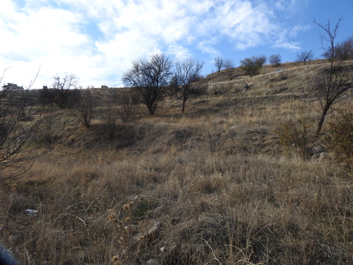 NAR AŞAĞI MAHALLEDE YOL KENARI MUHTEŞEM KONUMDA BAĞ