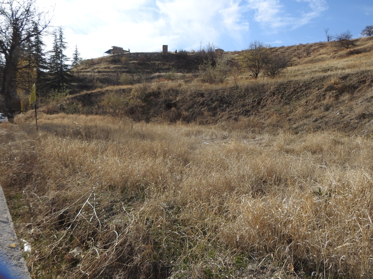 NAR AŞAĞI MAHALLEDE YOL KENARI MUHTEŞEM KONUMDA BAĞ