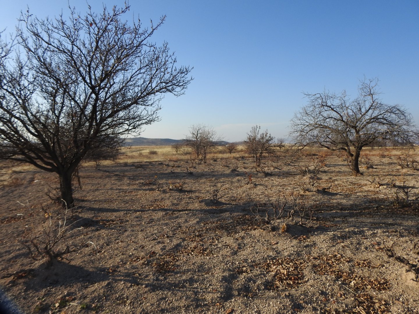 UÇHİSARDA MUHTEŞEM KONUMDA 1920M2 SATILIK BAĞ
