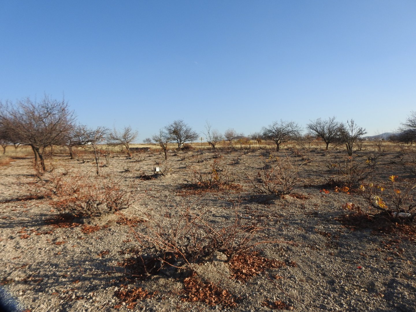 UÇHİSARDA MUHTEŞEM KONUMDA 1920M2 SATILIK BAĞ