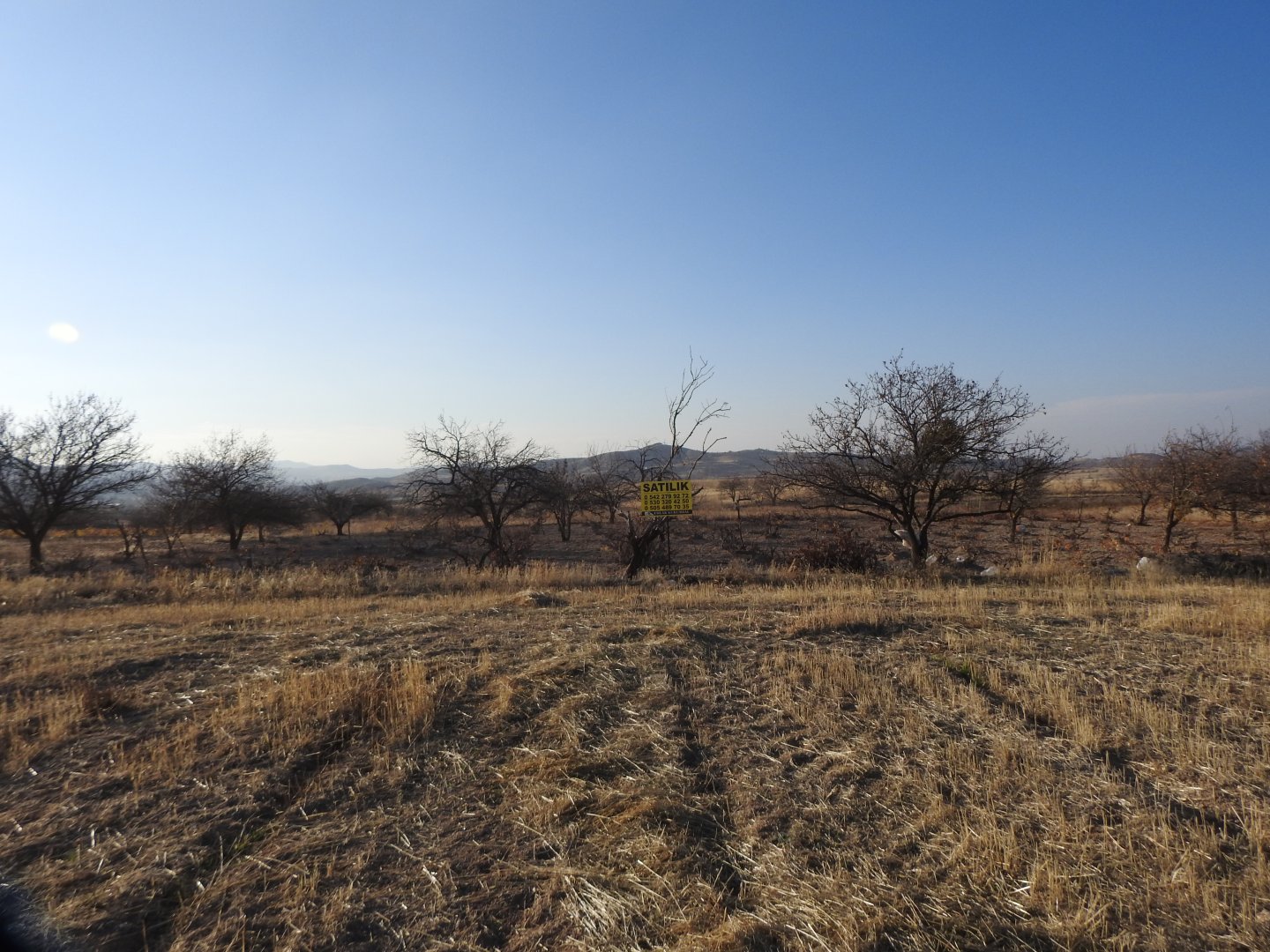 UÇHİSARDA MUHTEŞEM KONUMDA 1920M2 SATILIK BAĞ