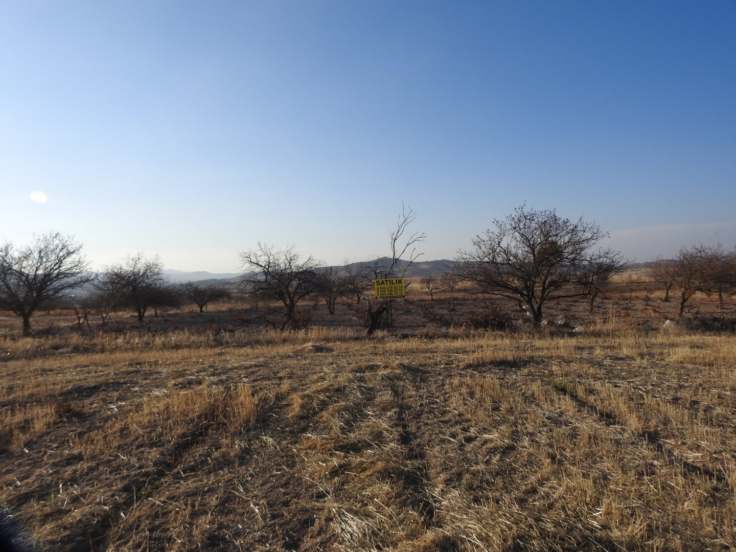 UÇHİSARDA MUHTEŞEM KONUMDA 1920M2 SATILIK BAĞ