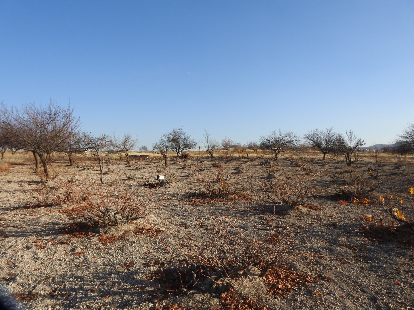 UÇHİSARDA MUHTEŞEM KONUMDA 1920M2 SATILIK BAĞ