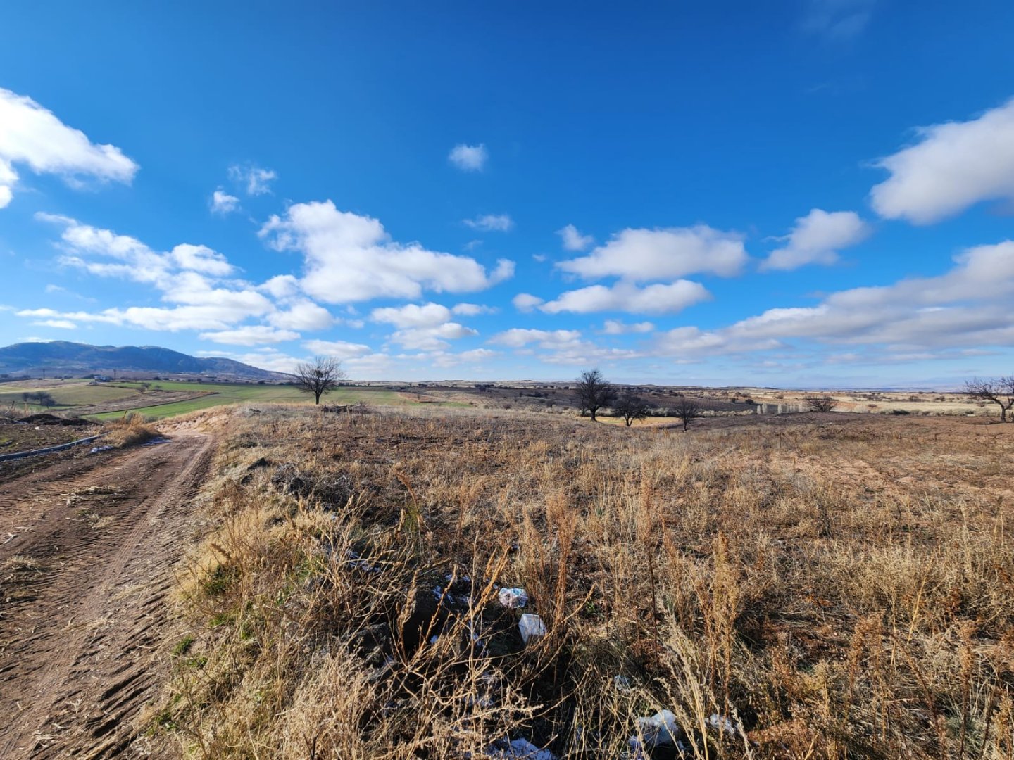 ALACAŞARDA SATILIK TARLA