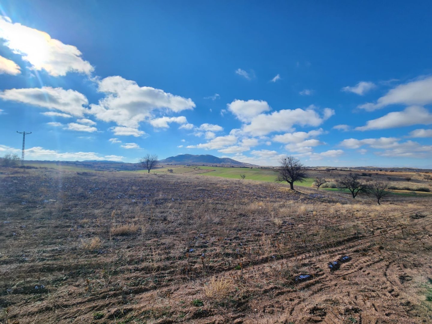 ALACAŞARDA SATILIK TARLA
