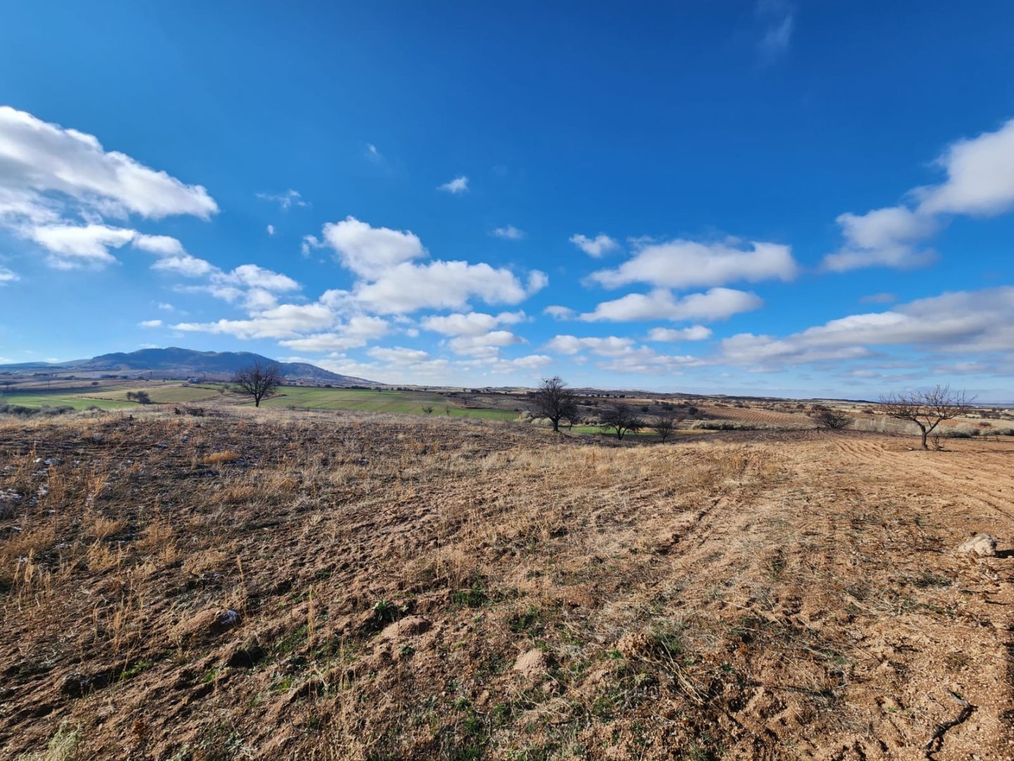 ALACAŞARDA SATILIK TARLA