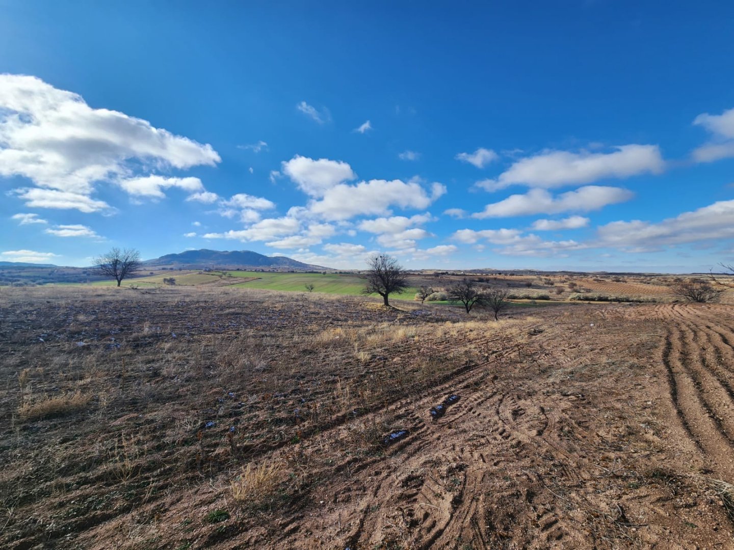 ALACAŞARDA SATILIK TARLA