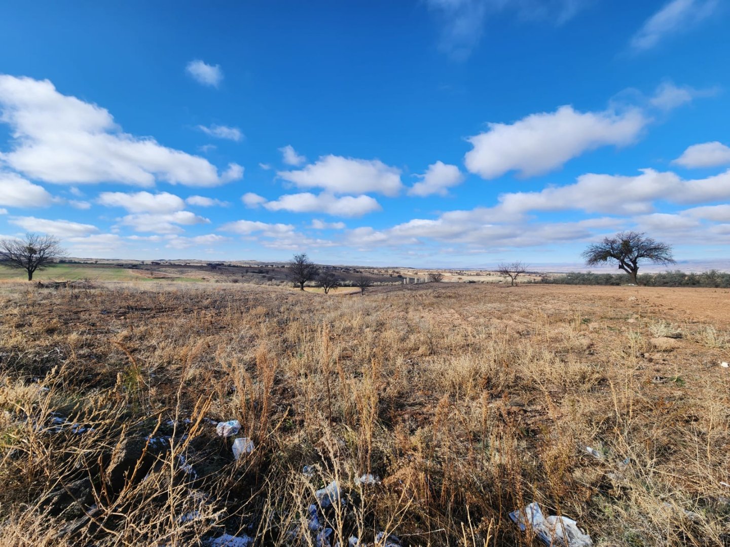 ALACAŞARDA SATILIK TARLA