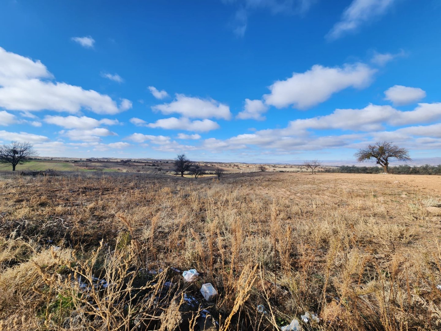ALACAŞARDA SATILIK TARLA