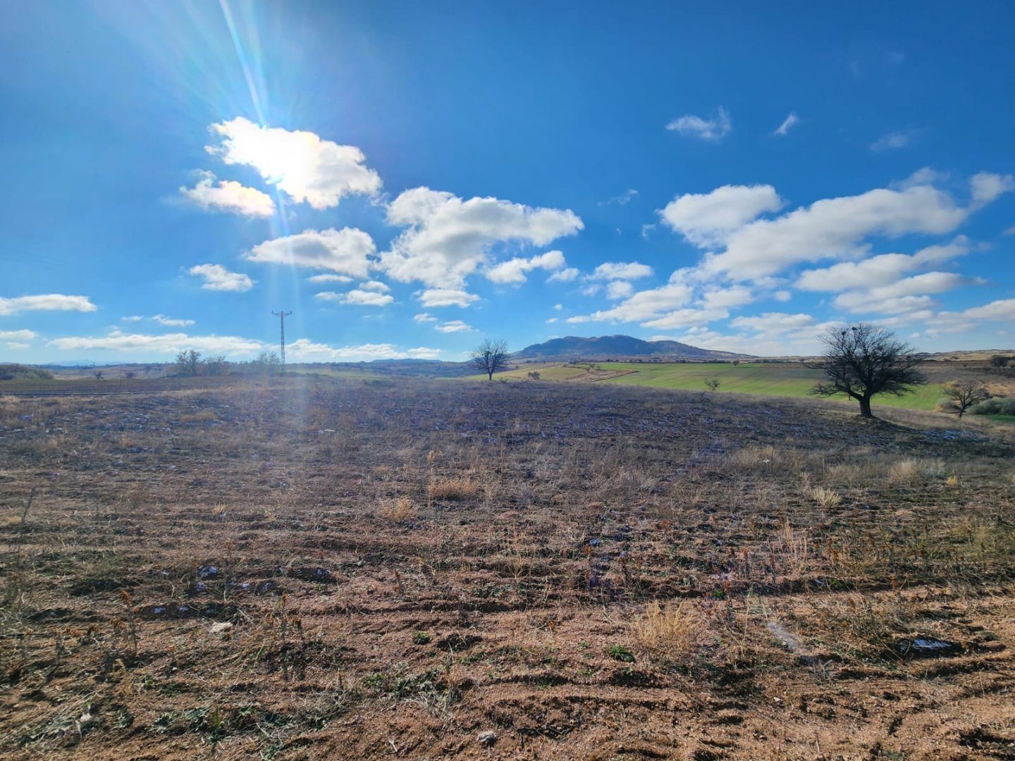 ALACAŞARDA SATILIK TARLA