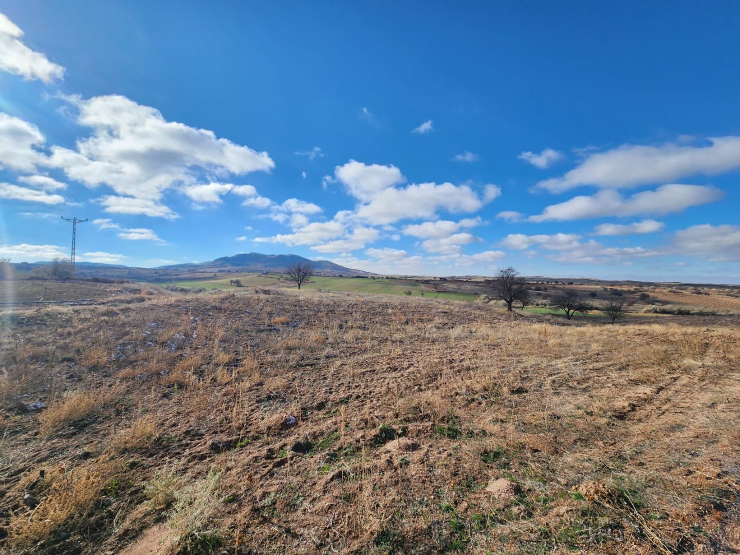 ALACAŞARDA SATILIK TARLA