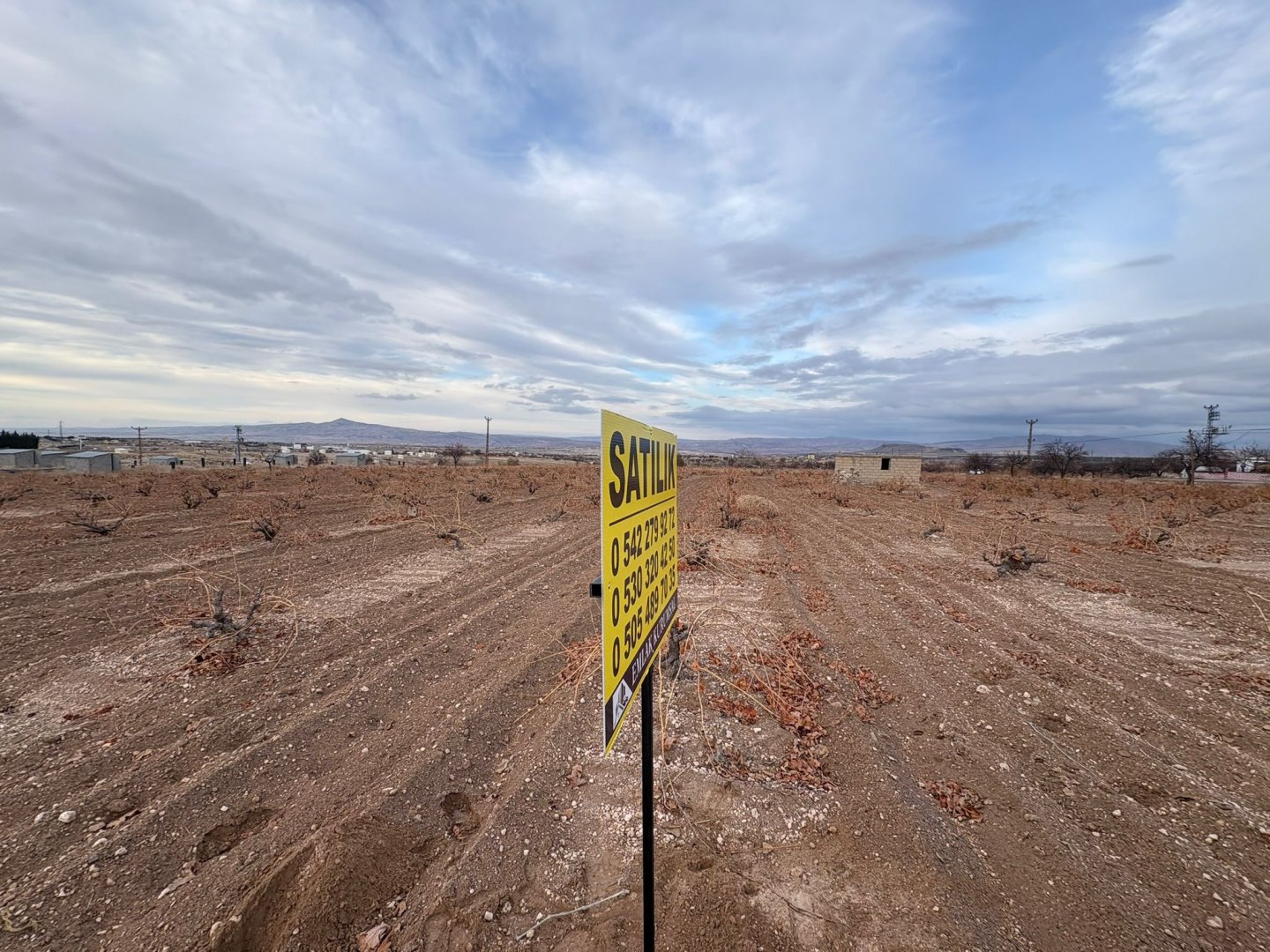 NAR YENİ MAHALLEDE İKİ TARAFIDA ANA ASFALT YOL 3003 M2 SATILIK BAĞ