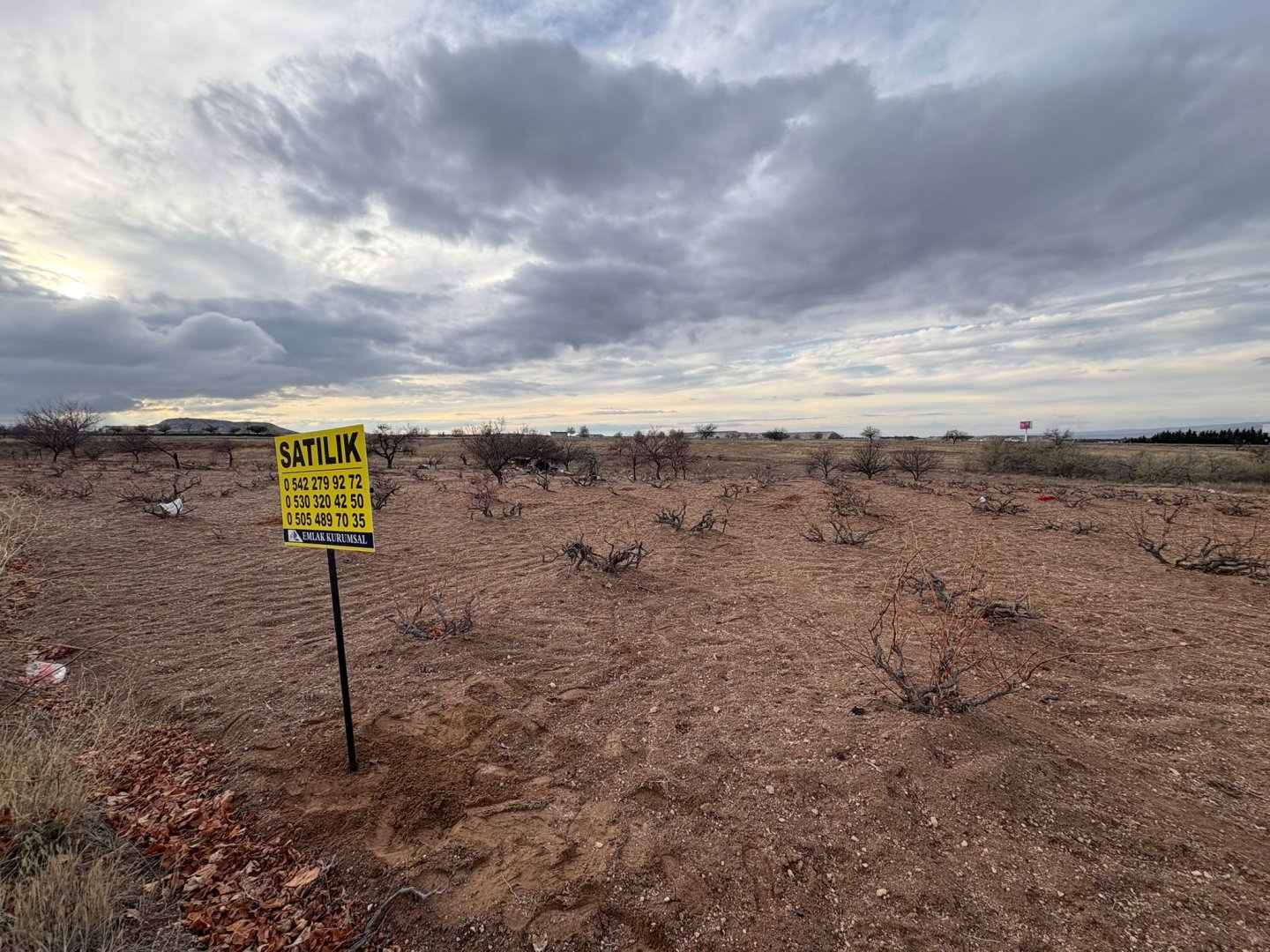 NAR YENİ MAHALLEDE 4331M2 İKİ TARAFIDA ANA ASFALT YOLA YAKIN SATILIK BAĞ