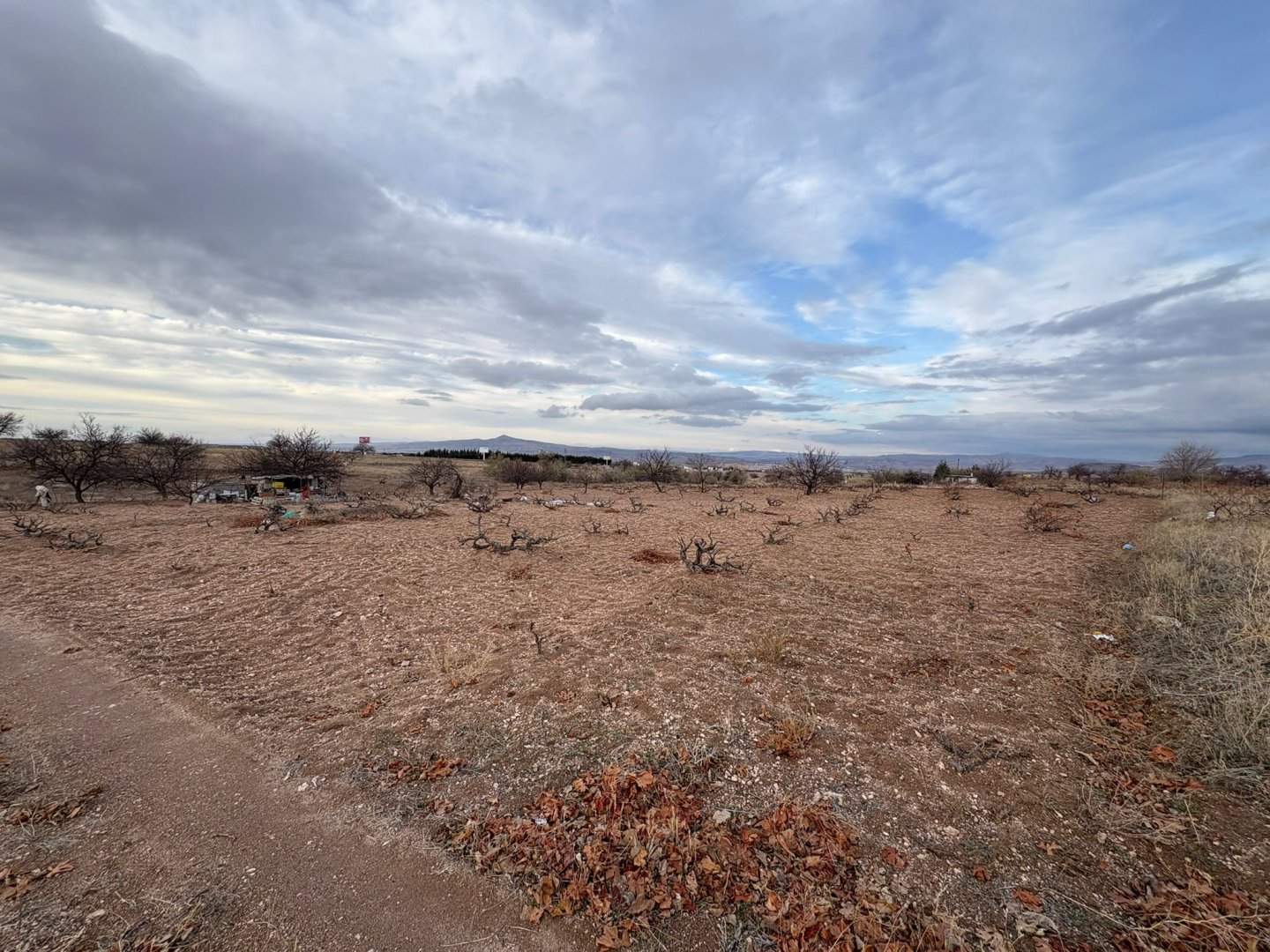 NAR YENİ MAHALLEDE 4331M2 İKİ TARAFIDA ANA ASFALT YOLA YAKIN SATILIK BAĞ