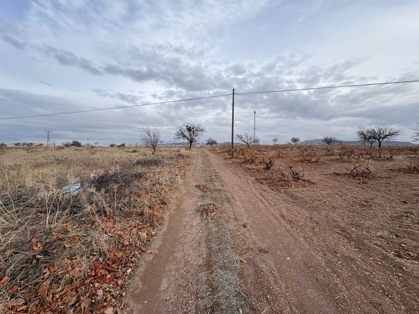 NAR YENİ MAHALLEDE 4331M2 İKİ TARAFIDA ANA ASFALT YOLA YAKIN SATILIK BAĞ