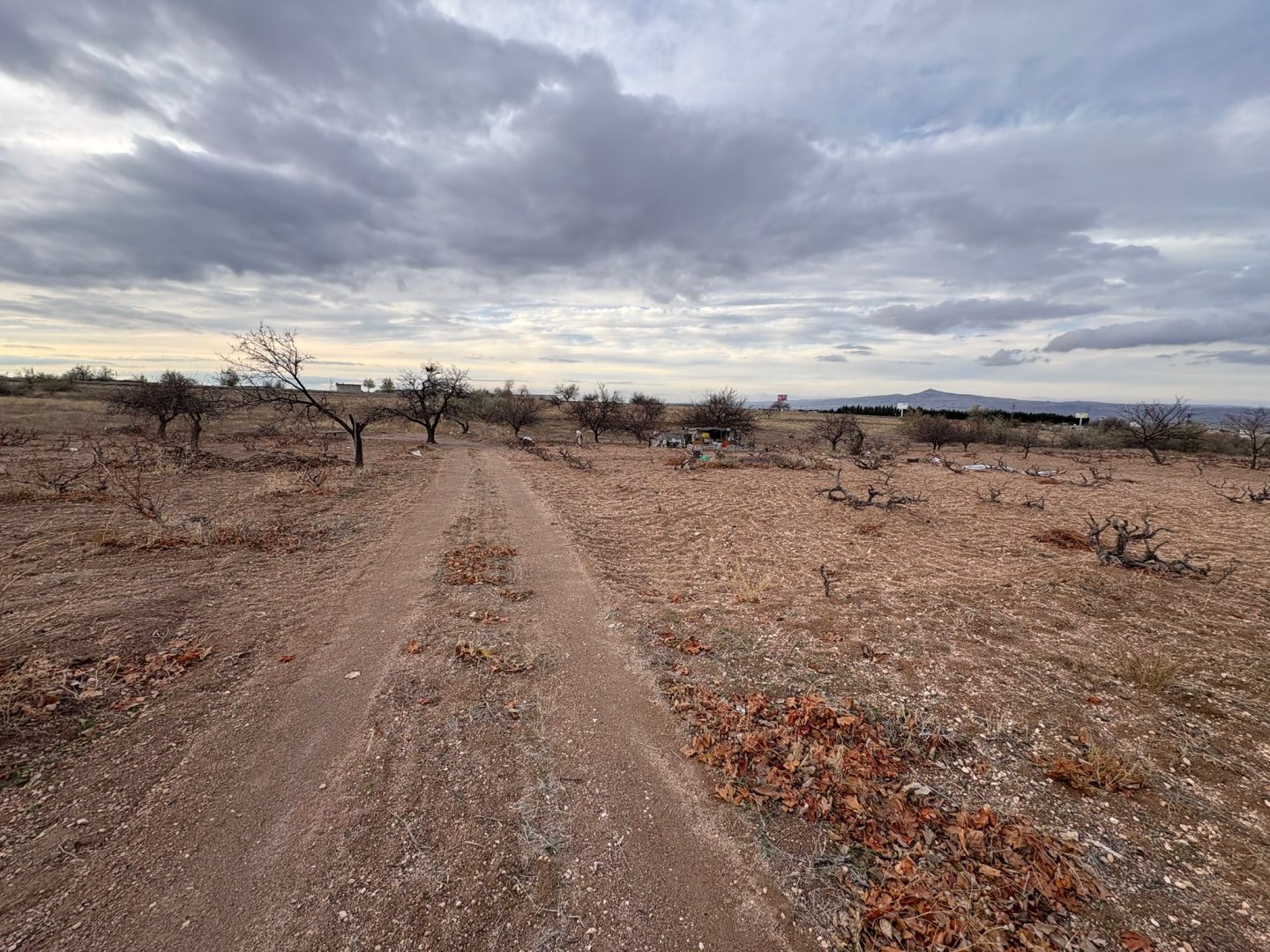 NAR YENİ MAHALLEDE 4331M2 İKİ TARAFIDA ANA ASFALT YOLA YAKIN SATILIK BAĞ