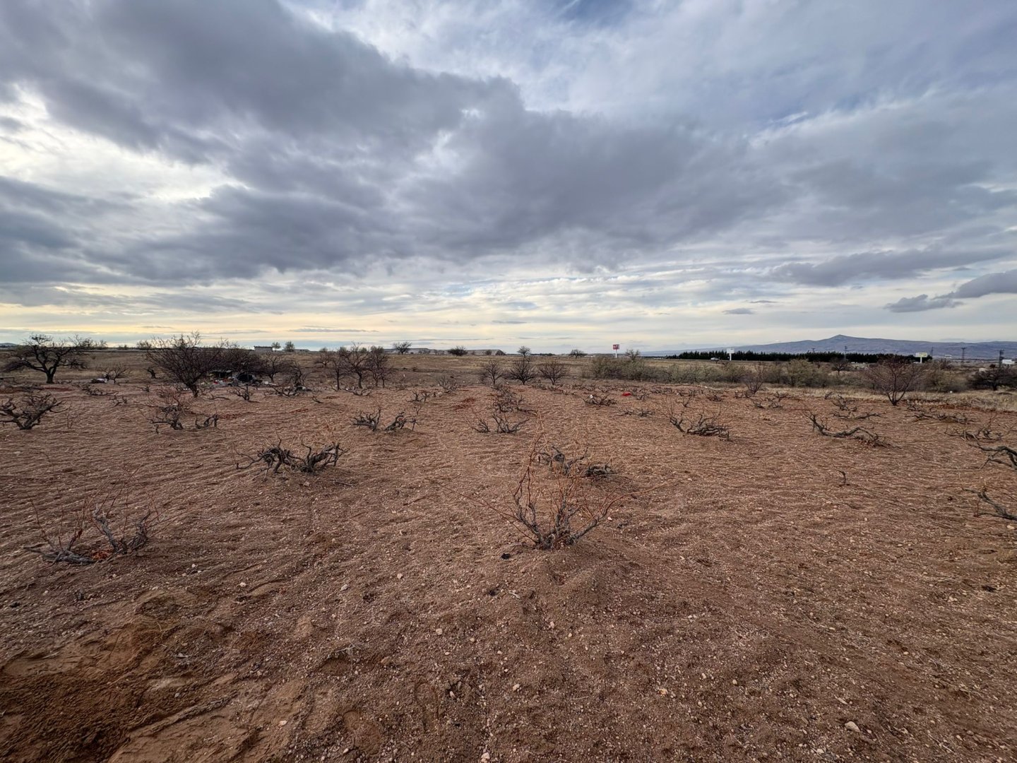 NAR YENİ MAHALLEDE 4331M2 İKİ TARAFIDA ANA ASFALT YOLA YAKIN SATILIK BAĞ