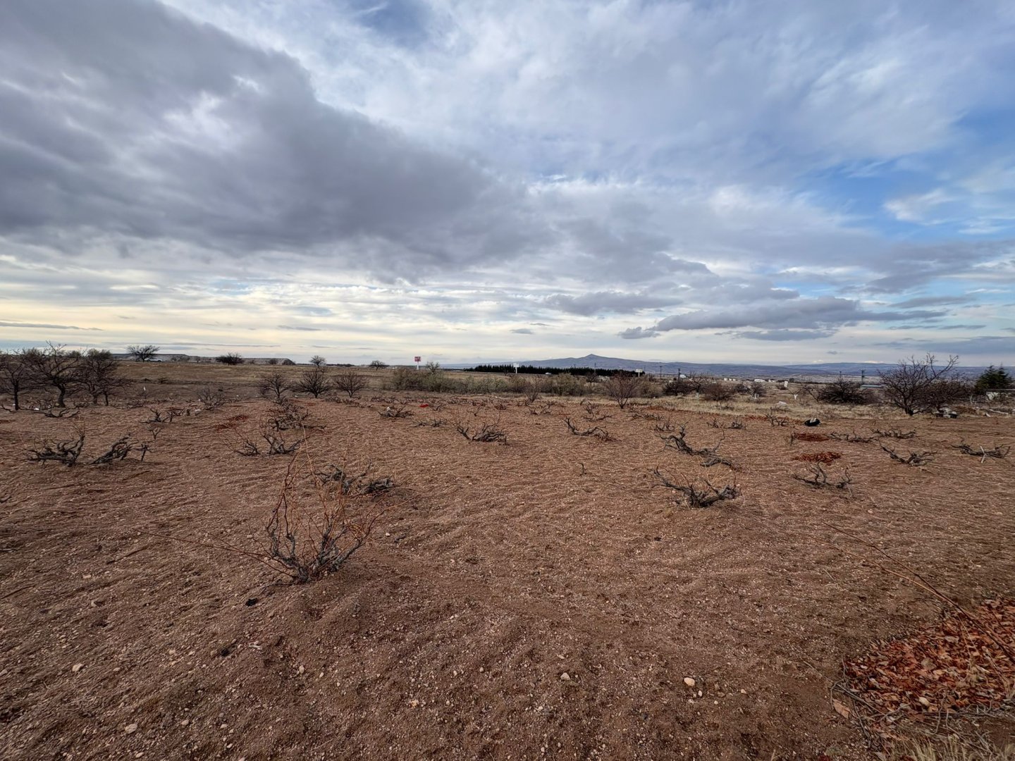 NAR YENİ MAHALLEDE 4331M2 İKİ TARAFIDA ANA ASFALT YOLA YAKIN SATILIK BAĞ