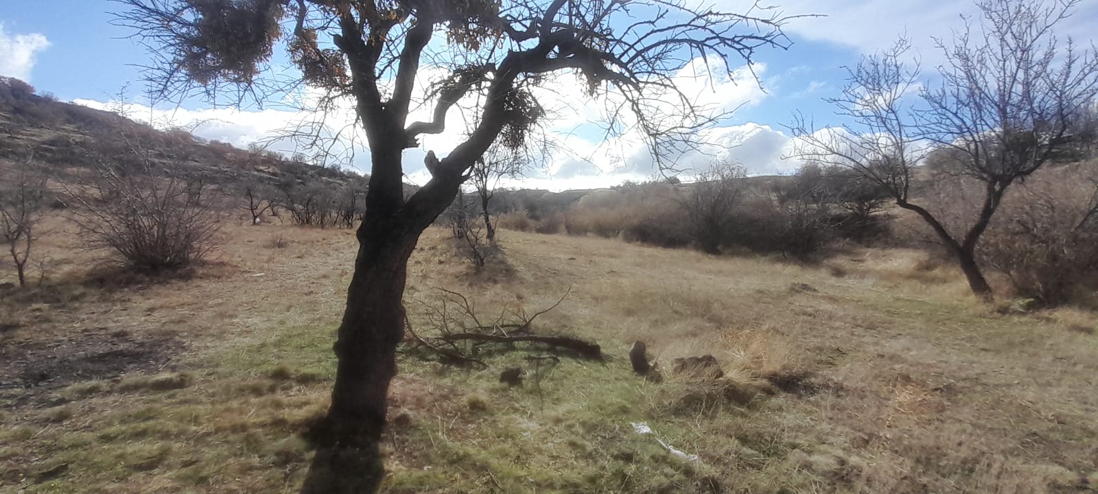 1.ETAP TOKİLERİN ARKA TARAFINDA 12678M2 SATILIK TARLA