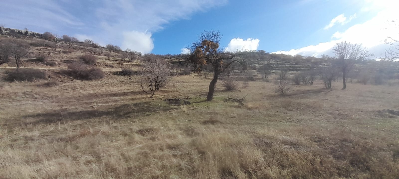 1.ETAP TOKİLERİN ARKA TARAFINDA 12678M2 SATILIK TARLA