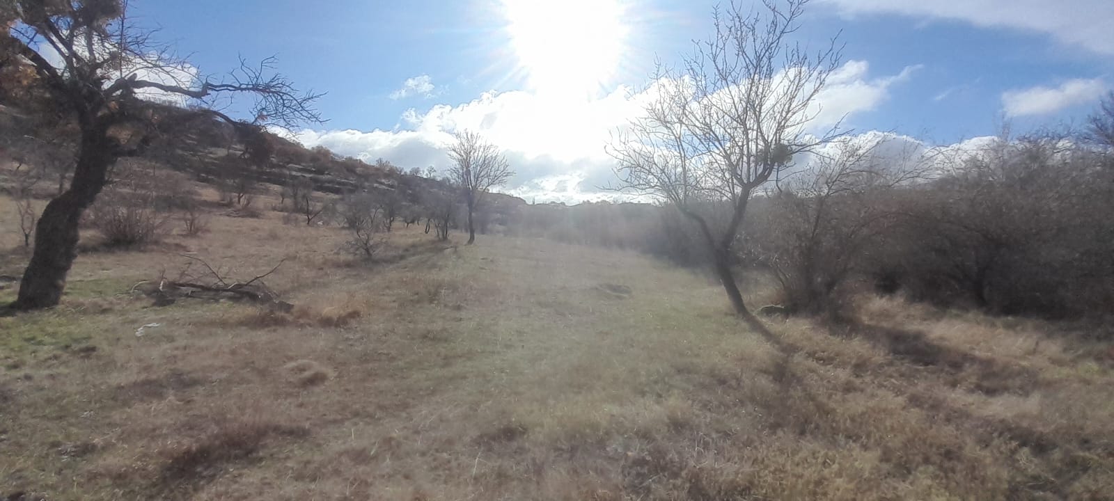 1.ETAP TOKİLERİN ARKA TARAFINDA 12678M2 SATILIK TARLA