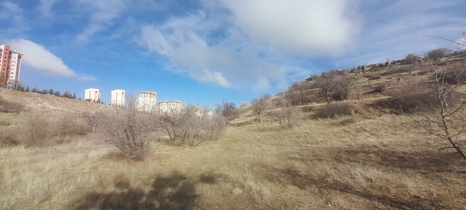 1.ETAP TOKİLERİN ARKA TARAFINDA 12678M2 SATILIK TARLA